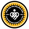 home team logo